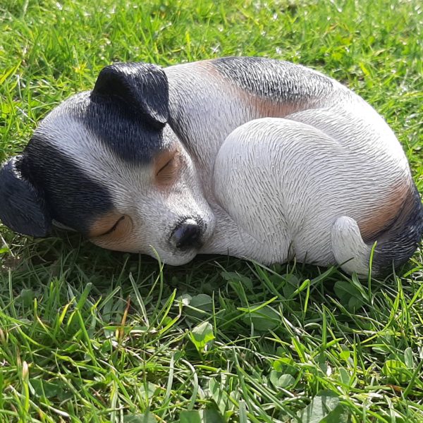 beeldje slapende jack russel pup 20 cm breed