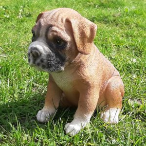 Boxerpup, levensecht beeldje van 15 cm hoog