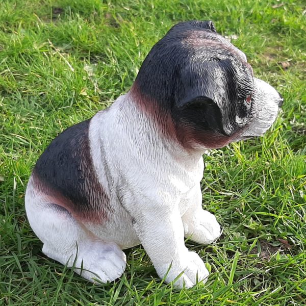 Jack Russell Puppy Beeldje, levensecht, 17 cm 