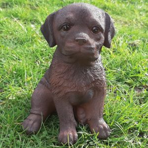 Puppy Labrador Retriever bruin, levensecht beeldje 15cm hoog