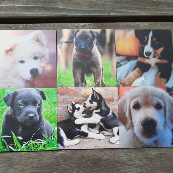 unieke set van 6 honden puppy onderzetters, versie 1