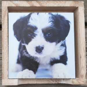 unieke set van 6 honden puppy onderzetters, versie 2